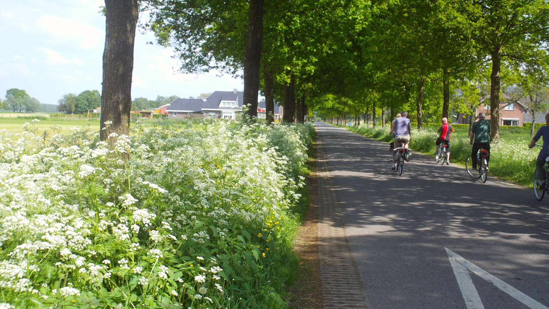 2012 HWK 053.jpg